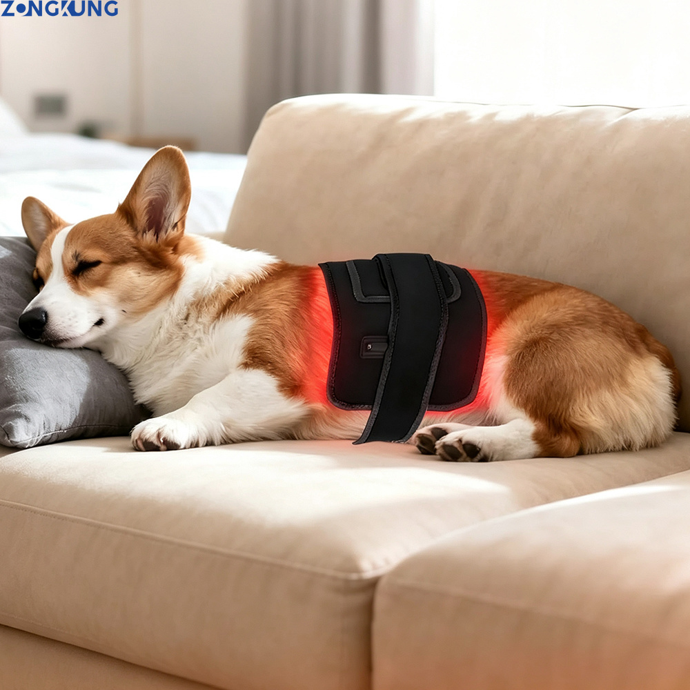 Red Light Therapy for Pets Vet - đánh giá và giá Galvanic Skin Sensor
