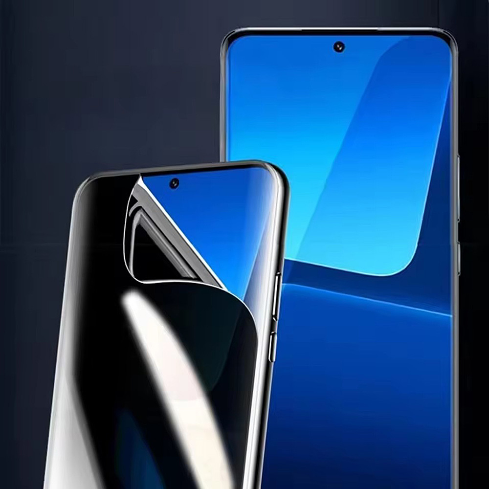 3Pcs Anti-Spy Screen Protector - đánh giá và giá Vivo V40